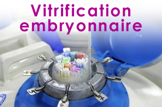 Vitrification embryonnaire et ovocytaire