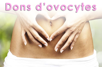 Dons d'ovocytes